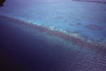 Aerial View of Barrier Reef in Belize, A by John C. Ogden