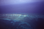 Aerial View of Barrier Reef in Belize, B by John C. Ogden