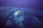 Aerial View of Belize, B by John C. Ogden