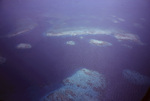 Aerial View of Patch Reefs in Belize by John C. Ogden