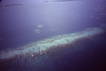 Aerial View of Barrier Reef in Belize, C by John C. Ogden