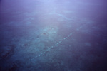 Aerial View of Oil Survey Seismic Lines in Belize by John C. Ogden