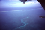 Aerial View of Carrie Bow Cay, Belize, A by John C. Ogden