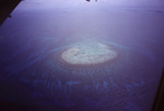 Aerial View of Curlew Reef, Belize, A by John C. Ogden