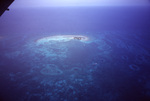 Unidentified Island on Belize Barrier Reef in Belize by John C. Ogden