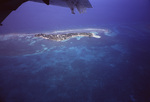 Aerial View of South Water Caye, Belize, C by John C. Ogden