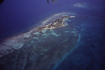 Aerial View of South Water Caye, Belize, D by John C. Ogden