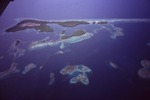 Aerial View of Rhomboid Shoals at Pelican Cays, Belize, A by John C. Ogden