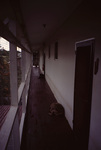 Hallway at Pelican Beach Resort in Dangriga, Belize by John C. Ogden