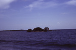 Cay Development in Belize by John C. Ogden