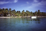 View of Dock and Shoreline at South Water Caye, Belize by John C. Ogden