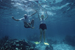 Two Snorkelers Pose Together Underwater at Mexico Rocks in Ambergris Caye, Belize