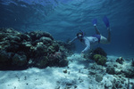 Snorkeler Explores Mexico Rocks in Ambergris Caye, Belize