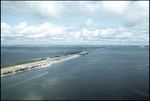 Dolphins Swimming in Tampa Bay, Florida, from Gandy Bridge, C