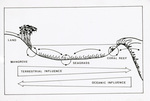 Diagram of Tropical Coastal Seascape