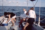 Nutrient Sampling, Tennessee Reef, Dry Tortugas by John C. Ogden