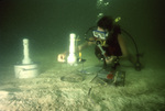 Peggy with Nutrient Flux Chambers, Dry Tortugas by John C. Ogden