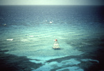 Buoy at Molasses Reef, Florida Keys by John C. Ogden