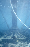 J-Tube, Sombrero Key Sanctuary Preservation Area by John C. Ogden