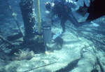 Diver Adjusts Sensor Can at Fowey Rocks, Florida Keys, A by John C. Ogden