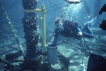 Diver Adjusts Sensor Can at Fowey Rocks, Florida Keys, B by John C. Ogden