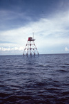 Monitoring Station, Molasses Reef Sanctuary Preservation Area, A by John C. Ogden