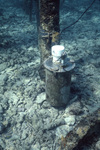 Sensor Can, Molasses Reef Sanctuary Preservation Area, A by John C. Ogden