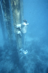 Sensor Cans at Iowa Rock, Dry Tortugas, A by John C. Ogden