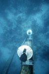 Sensor Cans at Iowa Rock, Dry Tortugas, B by John C. Ogden