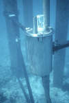 Sensor Can, Sand Key, Dry Tortugas National Park, A by John C. Ogden