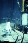 Sensor Can, Fowey Rocks, Florida Keys by John C. Ogden