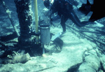 Diver Adjusts Sensor Can at Fowey Rocks, Florida Keys, C by John C. Ogden