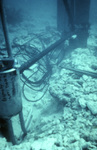 Sensor Can, Sand Key, Dry Tortugas National Park, B by John C. Ogden