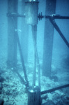 Sensor Cans, Sand Key, Dry Tortugas National Park by John C. Ogden