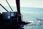 Electronics of Monitoring Station, Sombrero Reef, A by John C. Ogden