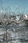 Elliott Key Research Trailer Following Hurricane Andrew, August 24, 1992, A by James W. Porter