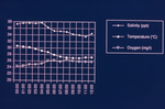 Hurricane Andrew Data, Caesar Creek, 1992 by James W. Porter