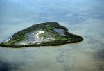 Island Following Hurricane Andrew, August 24, 1992, A by James W. Porter