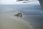 Island Following Hurricane Andrew, August 24, 1992, B by James W. Porter