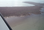 Aerial of Florida Coastline Following Hurricane Andrew, August 24, 1992, D by James W. Porter