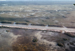 Aerial of Florida Coastline Following Hurricane Andrew, August 24, 1992, H by James W. Porter