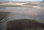 Aerial Following Hurricane Andrew, August 24, 1992, E by James W. Porter