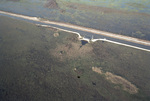 Aerial Following Hurricane Andrew, August 24, 1992, F by James W. Porter