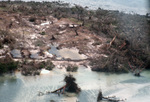 Damaged Trees Following Hurricane Andrew, August 24, 1992, F by James W. Porter