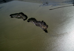 Islands Following Hurricane Andrew, August 24, 1992, B by James W. Porter