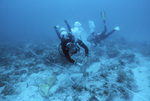 Divers Adjusting Measurement Equipment, Maitland Deep Site, July 10, 2002, A