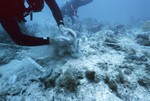 Divers Adjusting Measurement Equipment, Maitland Deep Site, July 10, 2002, B