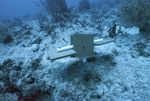 Autonomous Reef Monitoring Structure, Maitland Deep Site, July 10, 2002, B