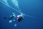 Divers Near Line, Florida Middle Grounds, August 9, 2000, A