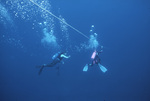 Divers Near Line, Florida Middle Grounds, August 9, 2000, A